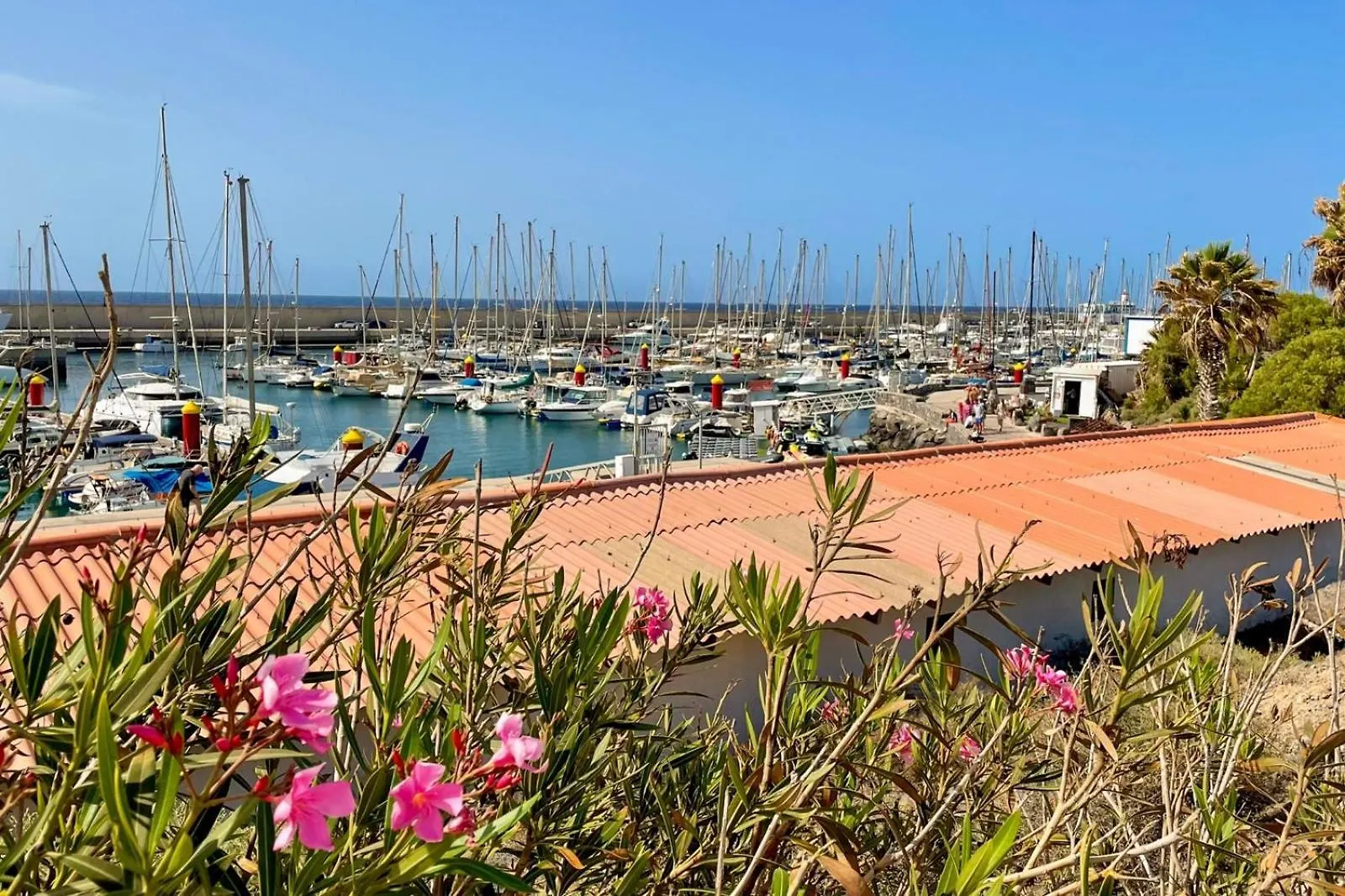 Amarilla Golf Apartment Σαν Μιγκέλ ντε Αμπόνα Ισπανία